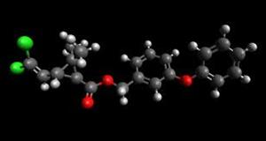 > </div>
<div class=